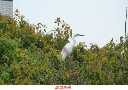 大自然的“挚邻”再次归家南宝